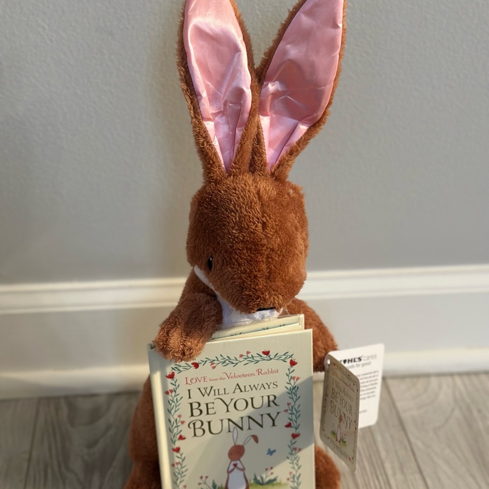 Brown Plush Bunny with Book